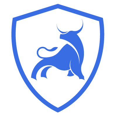 bulls-icon